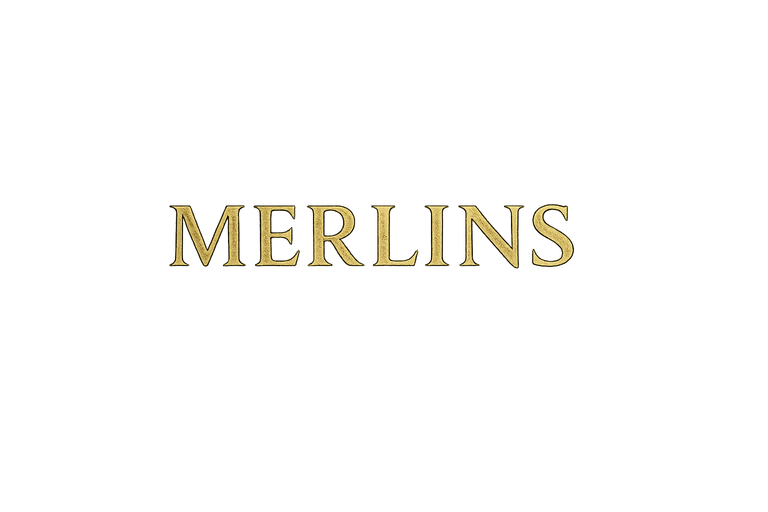 Merlins Journal
